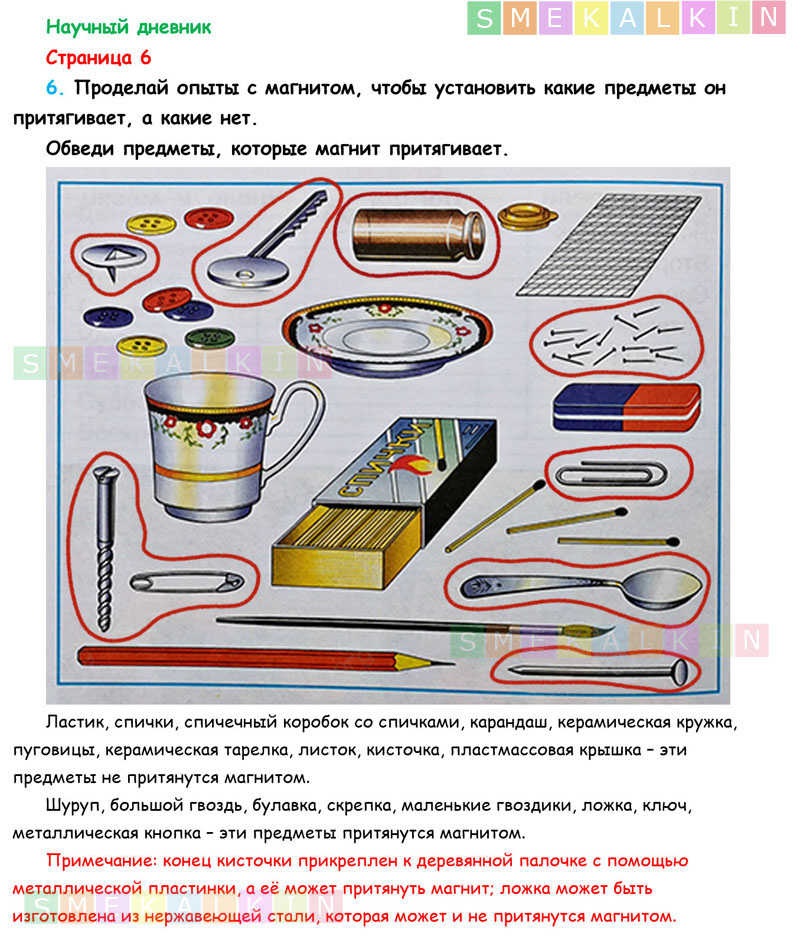 Научный дневник 1 класс окружающий мир