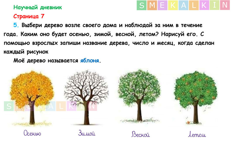 В гости к весне технологическая карта 2 класс окружающий мир плешаков