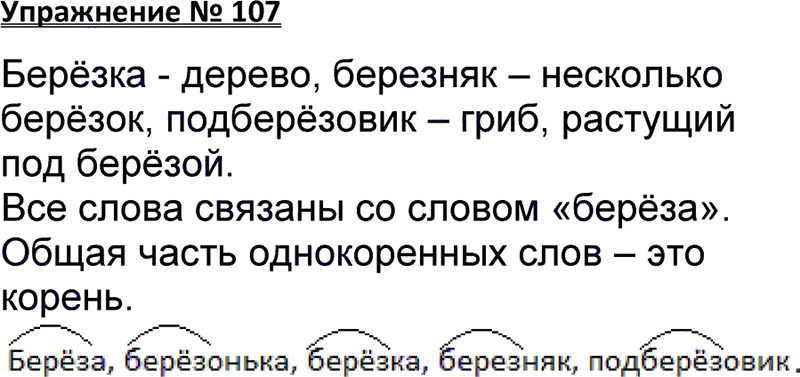 Ответы к 107 упражнению учебника по русскому языку В.П. Канакина, В.Г. Горецкий за 3 класс 1 часть