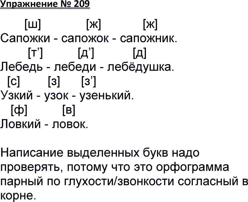 Рассказ по рисунку 2 класс русский язык упр 209