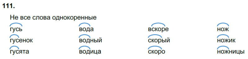 Ответы к 111 упражнению учебника по русскому языку В.П. Канакина, В.Г. Горецкий за 3 класс 1 часть
