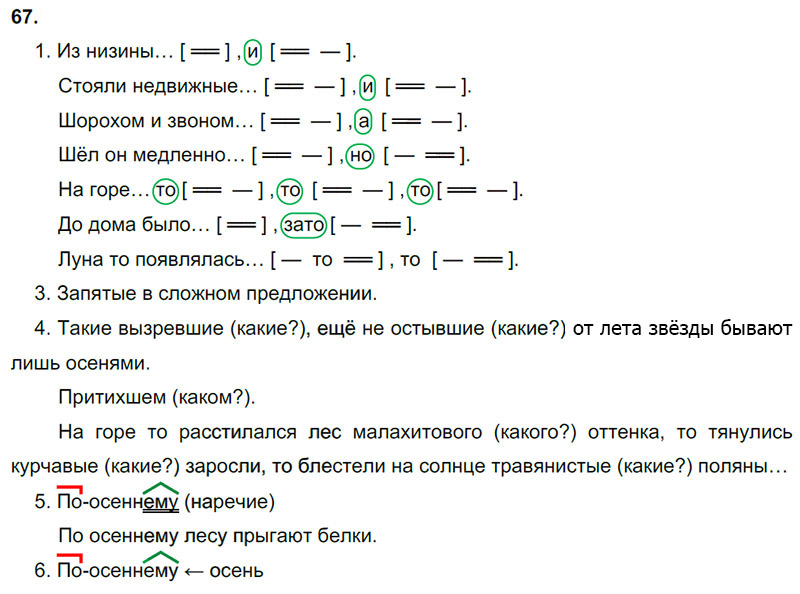 Ответы к 67 упражнению учебника по русскому языку М.М. Разумовская за 9 класс